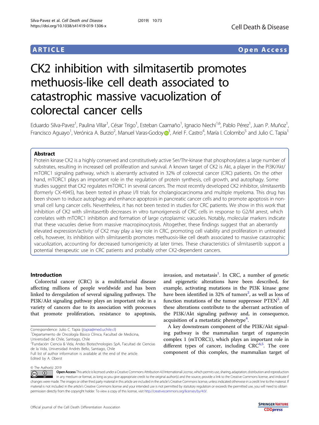 CK2 Inhibition with Silmitasertib Promotes Methuosis-Like Cell Death