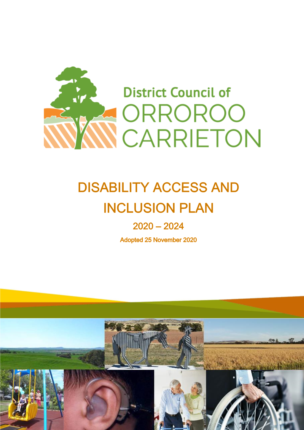 Disability Access & Inclusion Plan