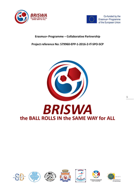 BRISWA 1St International Workshop Report