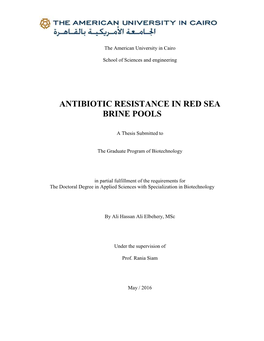 Antibiotic Resistance in Red Sea Brine Pools