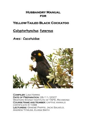 Yellow Tailed Black Cockatoo (Calyptorhynchus Funereus)