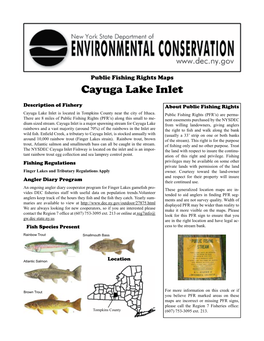 Cayuga Lake Inlet Public Fishing Rights