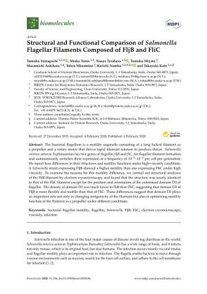 Structural and Functional Comparison of Salmonella Flagellar Filaments Composed of Fljb and Flic
