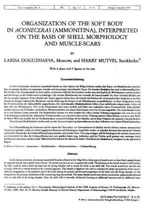 Organization of the Soft Body in Aconeceras (Ammonitina), Interpreted on the Basis of Shell Morphology and Muscle-Scars
