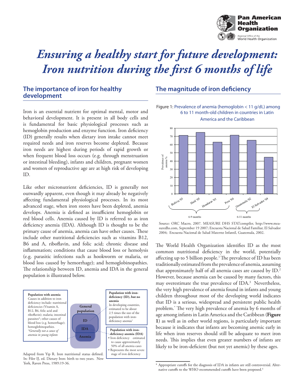 Iron Nutrition During the First 6 Months of Life