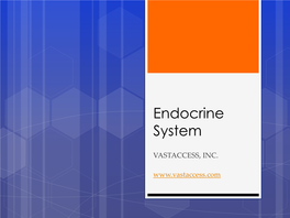 Endocrine System