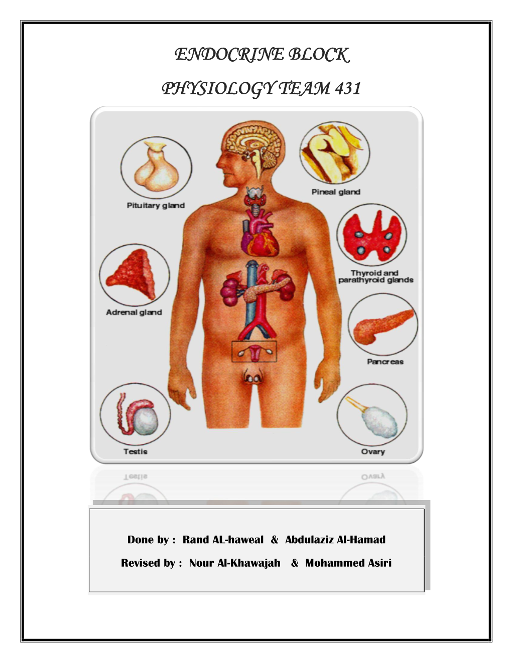 01 Introduction to Endocrine System.Pdf