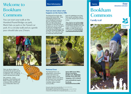Bookham Commons