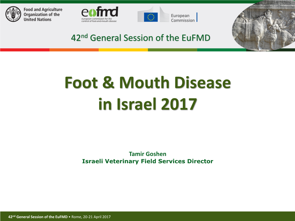 41St General Session of the Eufmd