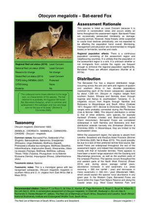 Otocyon Megalotis – Bat-Eared Fox