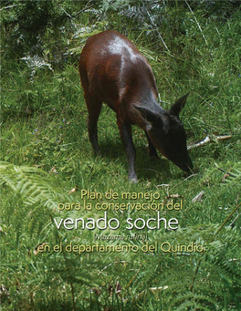 Plan De Manejo Para La Conservación Del Venado Soche (Mazama Rufina) 1 En El Departamento Del Quindío