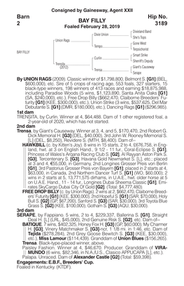 BAY FILLY Barn 2 Hip No. 3189