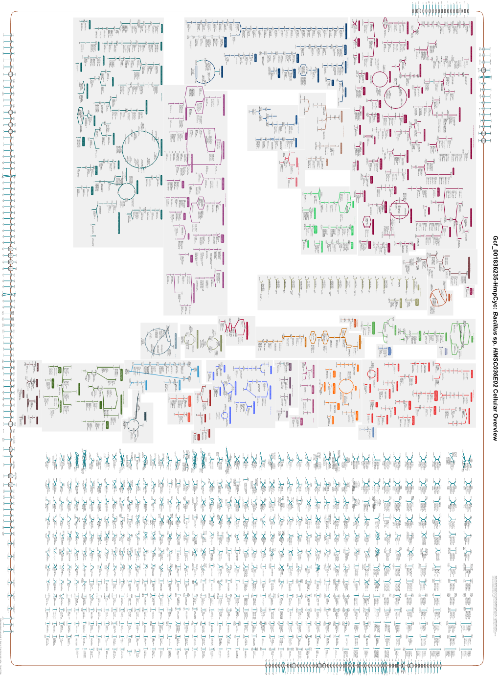 Generated by SRI International Pathway Tools Version 25.0, Authors S