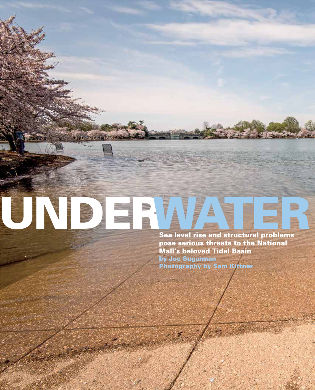 Under Water: the National Mall's Tidal Basin