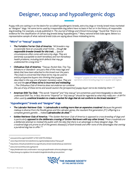 Designer, Teacup and Hypoallergenic Dogs [PDF]