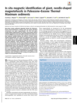 In Situ Magnetic Identification of Giant, Needle-Shaped Magnetofossils in Paleocene–Eocene Thermal Maximum Sediments