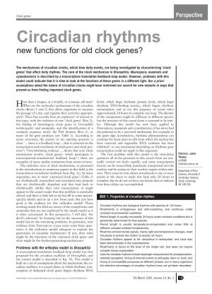 Circadian Rhythms New Functions for Old Clock Genes?