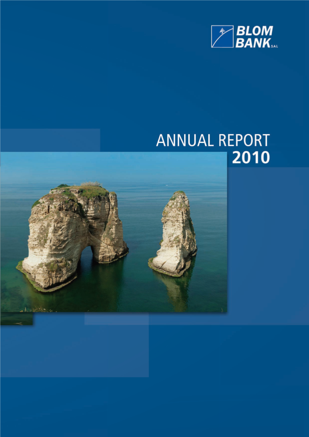 2010 Annual Report