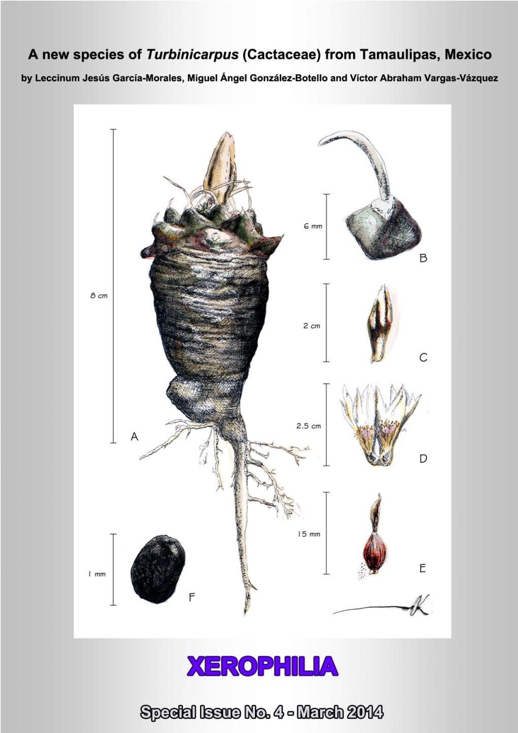 Cactaceae of Tamaulipas, We Found That García-Morales & González-Botello (2004), García-Morales Et Al