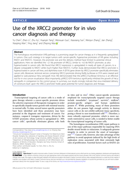 Use of the XRCC2 Promoter for in Vivo Cancer Diagnosis and Therapy