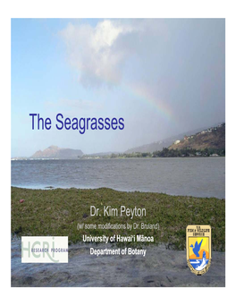 The Seagrasses