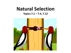Natural Selection Topics 7.1 – 7.4, 7.12 What Is Evolution?