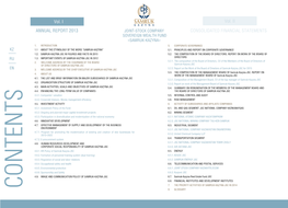 ANNUAL REPORT 2013 Vol. I CONSOLIDATED