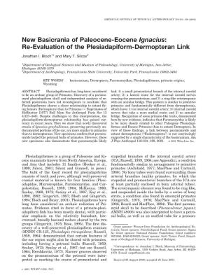 Re-Evaluation of the Plesiadapiform-Dermopteran Link