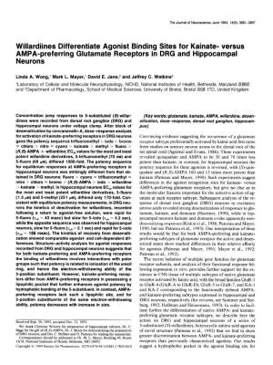 Versus AMPA-Preferring Glutamate Receptors in DRG and Hippocampal Neurons