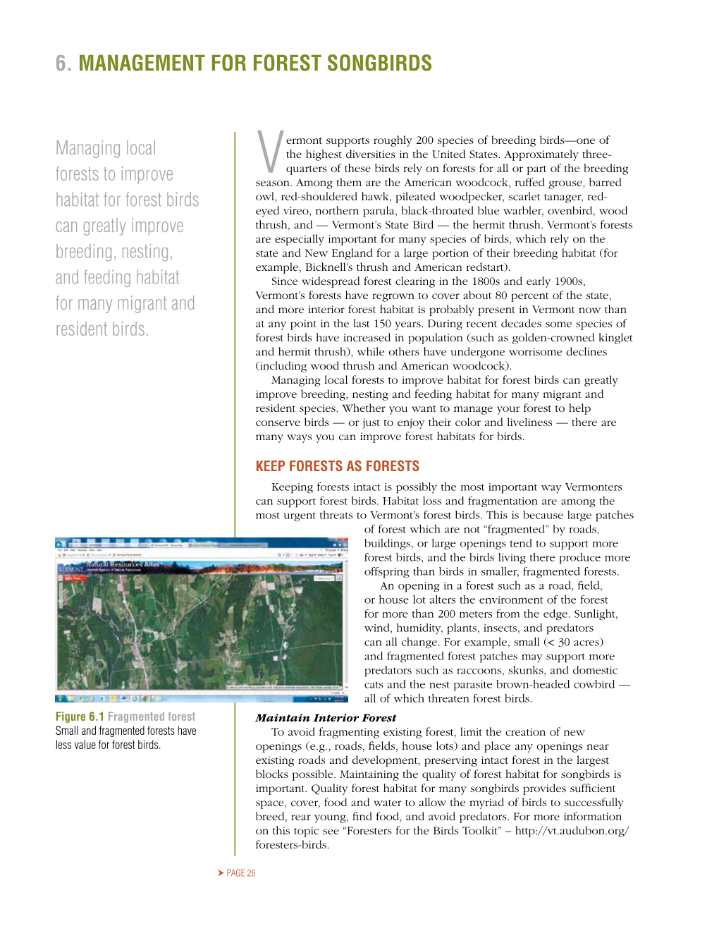 6. Management for Forest Songbirds