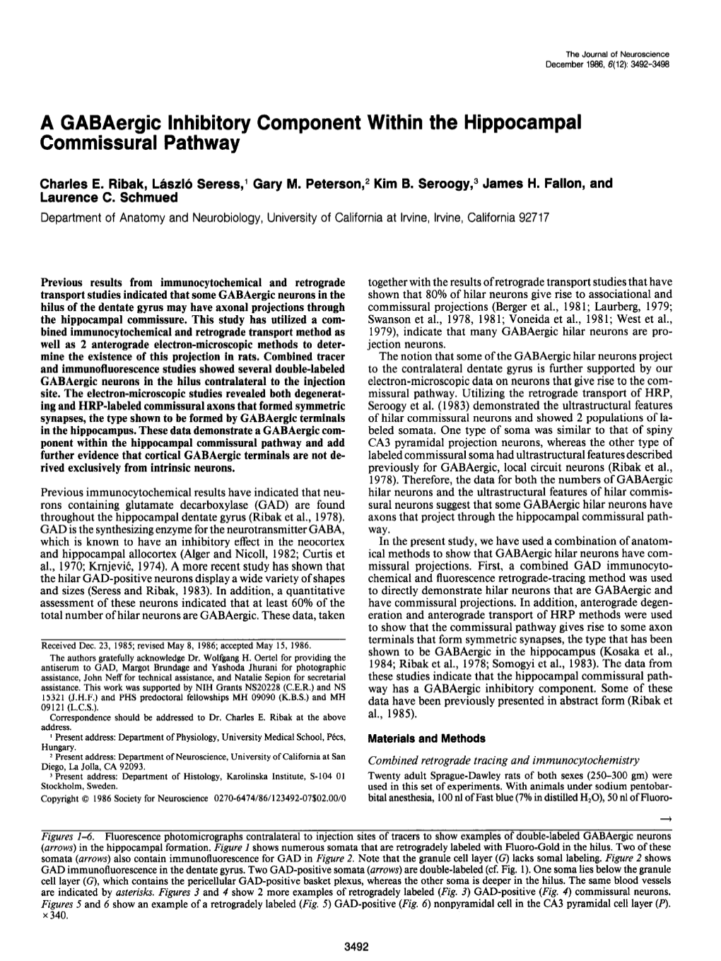 A Gabaergic Inhibitory Component Within the Hippocampal Commissural Pathway