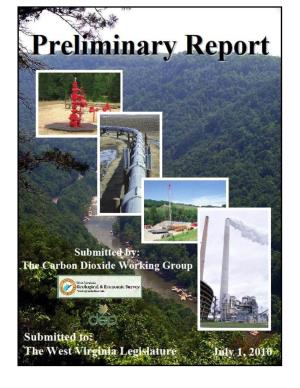 WVCCS Working Group Preliminary Report-Final (C1821197.DOC;1)