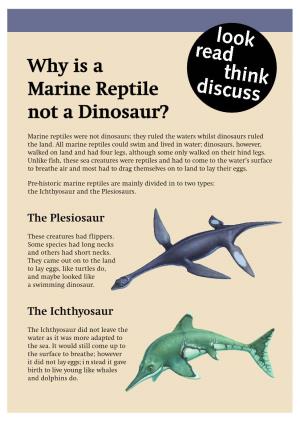 Why Is a Marine Reptile Not a Dinosaur?