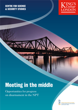 Meeting in the Middle: Opportunities for Progress on Disarmament in The