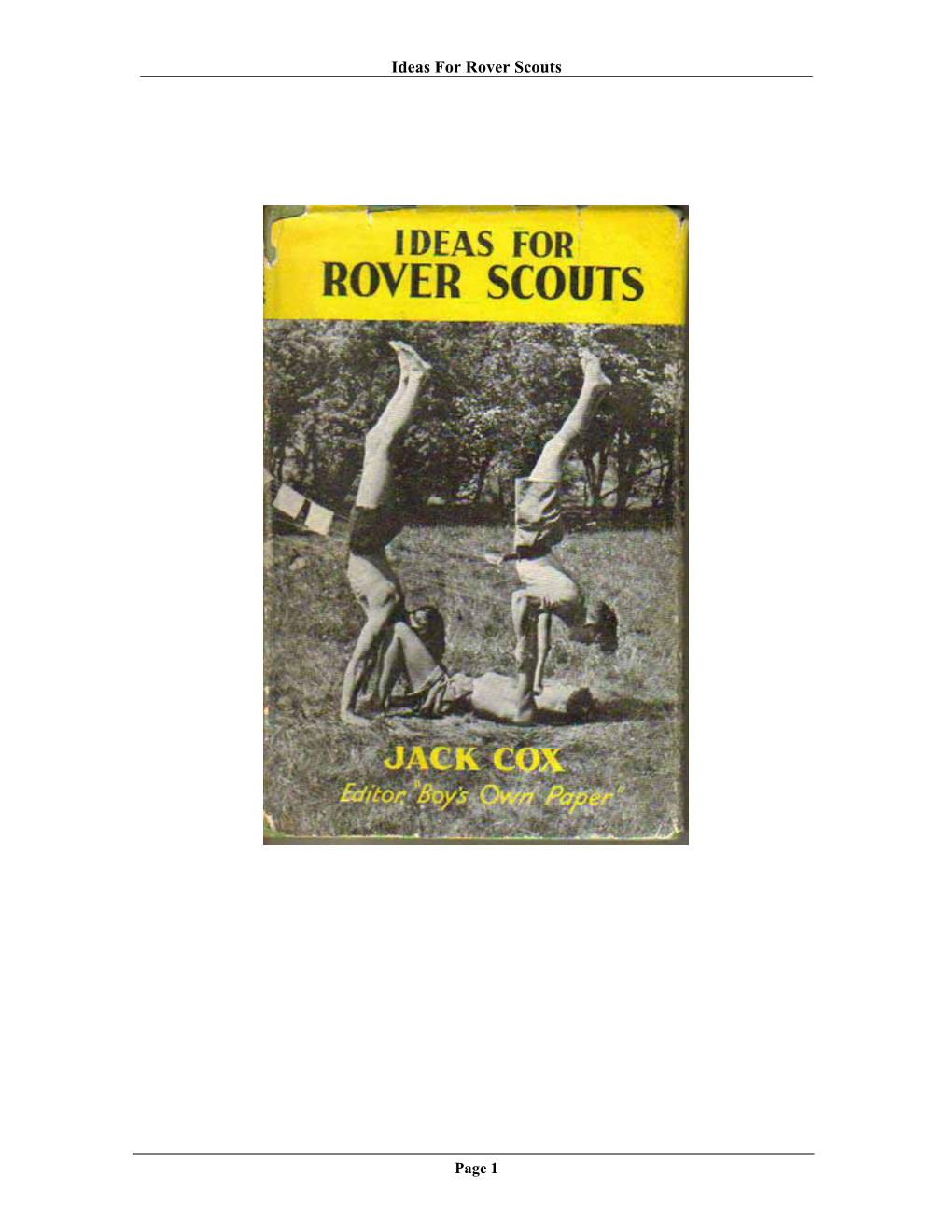Ideas for Rover Scouts