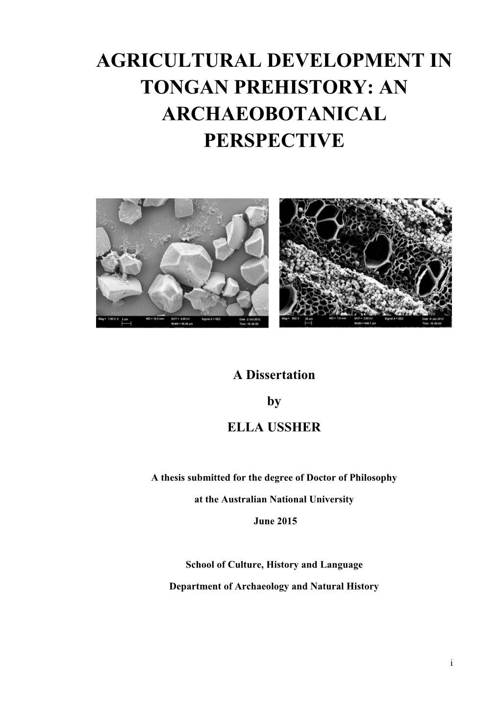 Agricultural Development in Tongan Prehistory: an Archaeobotanical Perspective