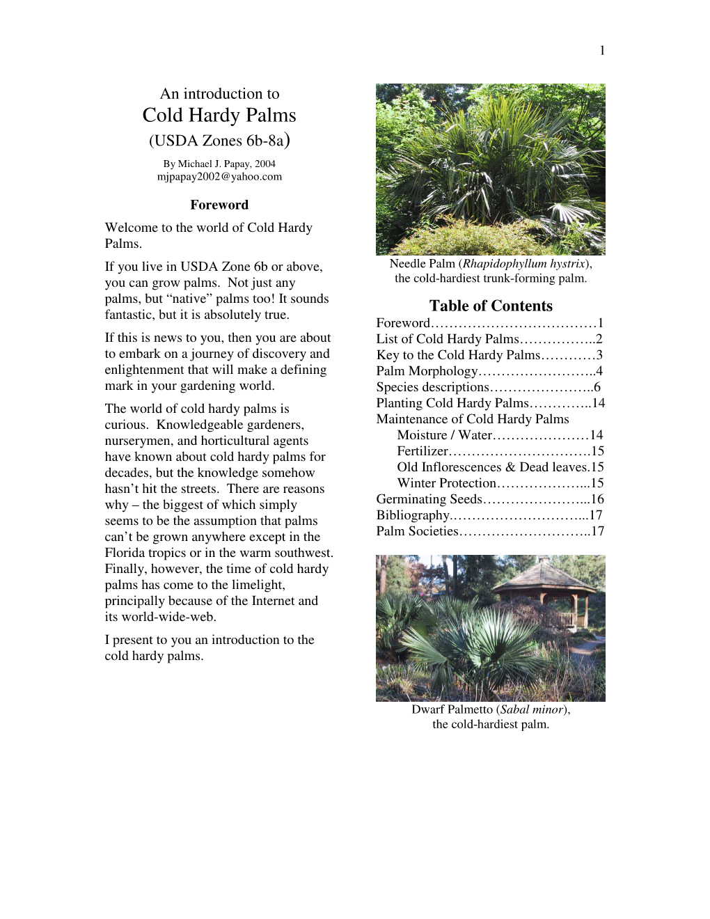 Cold Hardy Palms (USDA Zones 6B-8A ) by Michael J