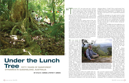 Under the Lunch Tree (Far Left), a Northern Brush Mahogany, Age