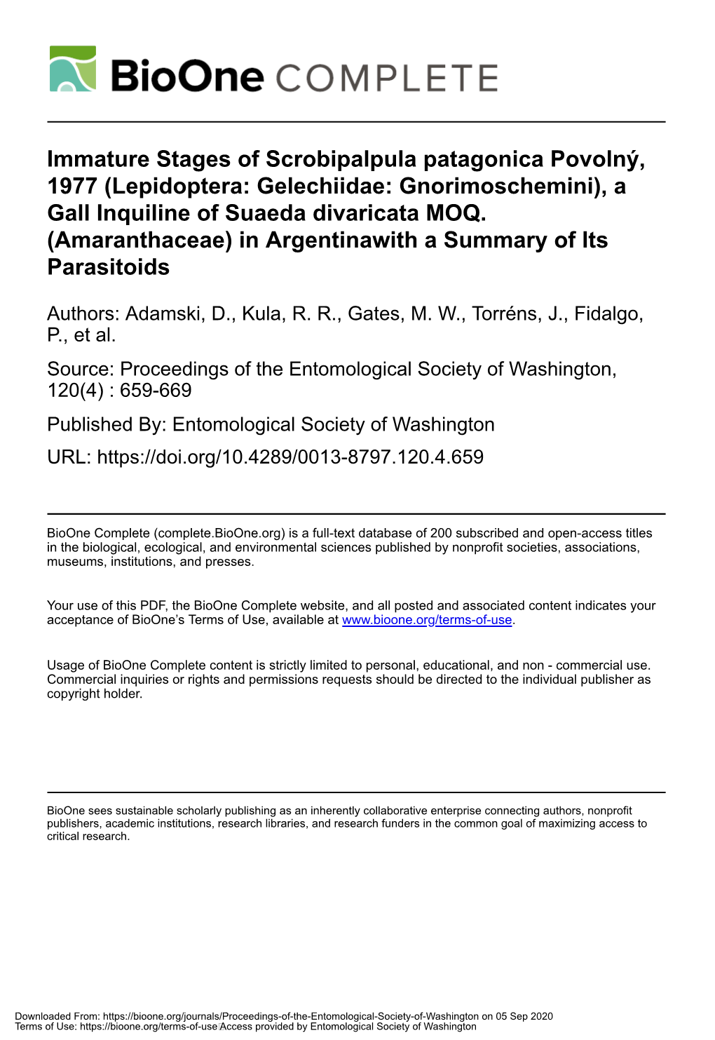 Immature Stages of Scrobipalpula Patagonica Povolný, 1977 (Lepidoptera: Gelechiidae: Gnorimoschemini), a Gall Inquiline of Suaeda Divaricata MOQ