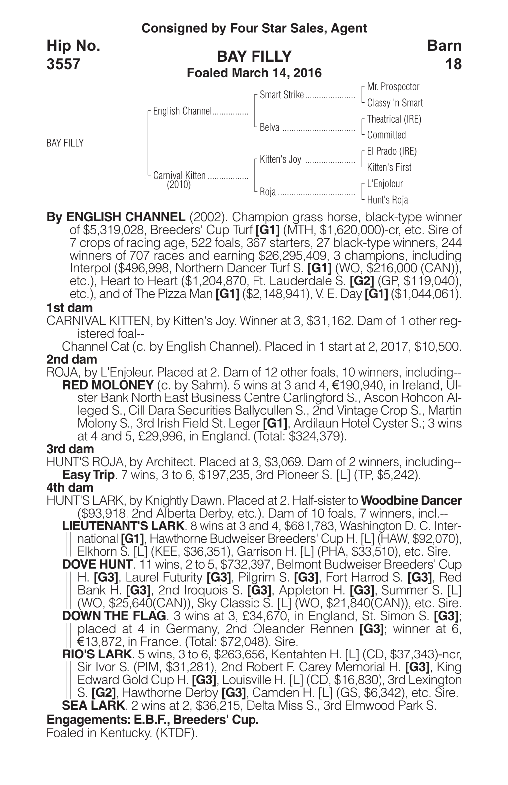 BAY FILLY Barn 18 Hip No. 3557