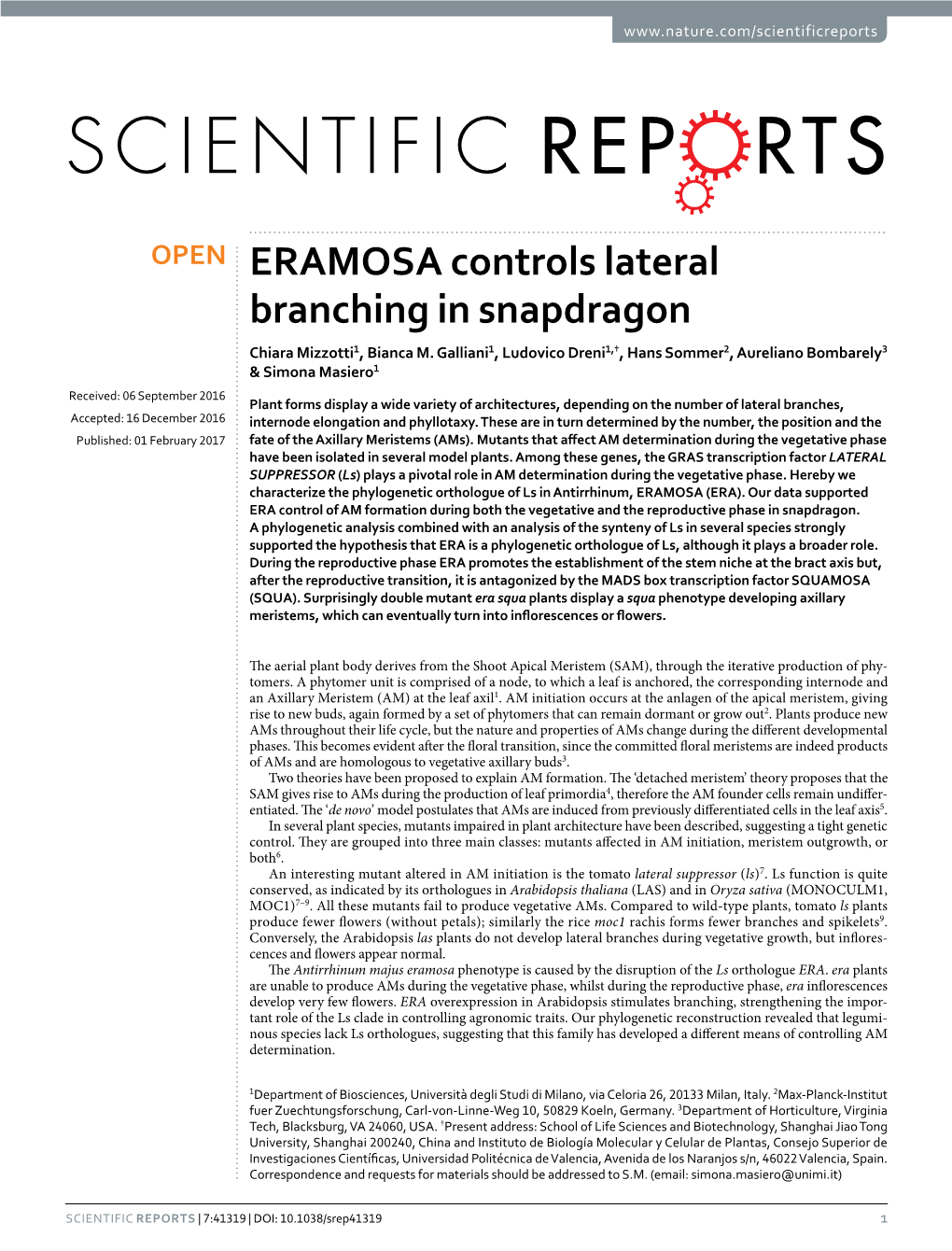 ERAMOSA Controls Lateral Branching in Snapdragon Chiara Mizzotti1, Bianca M