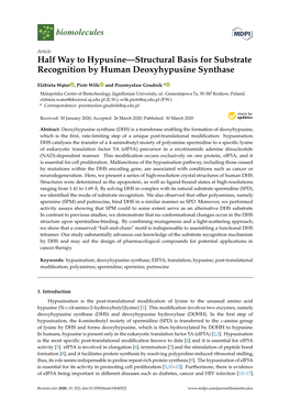 Halfway to Hypusine—Structural Basis for Substrate Recognition by Human