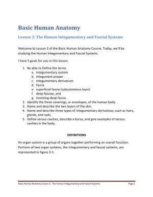 Lesson 3: the Human Integumentary and Fascial Systems