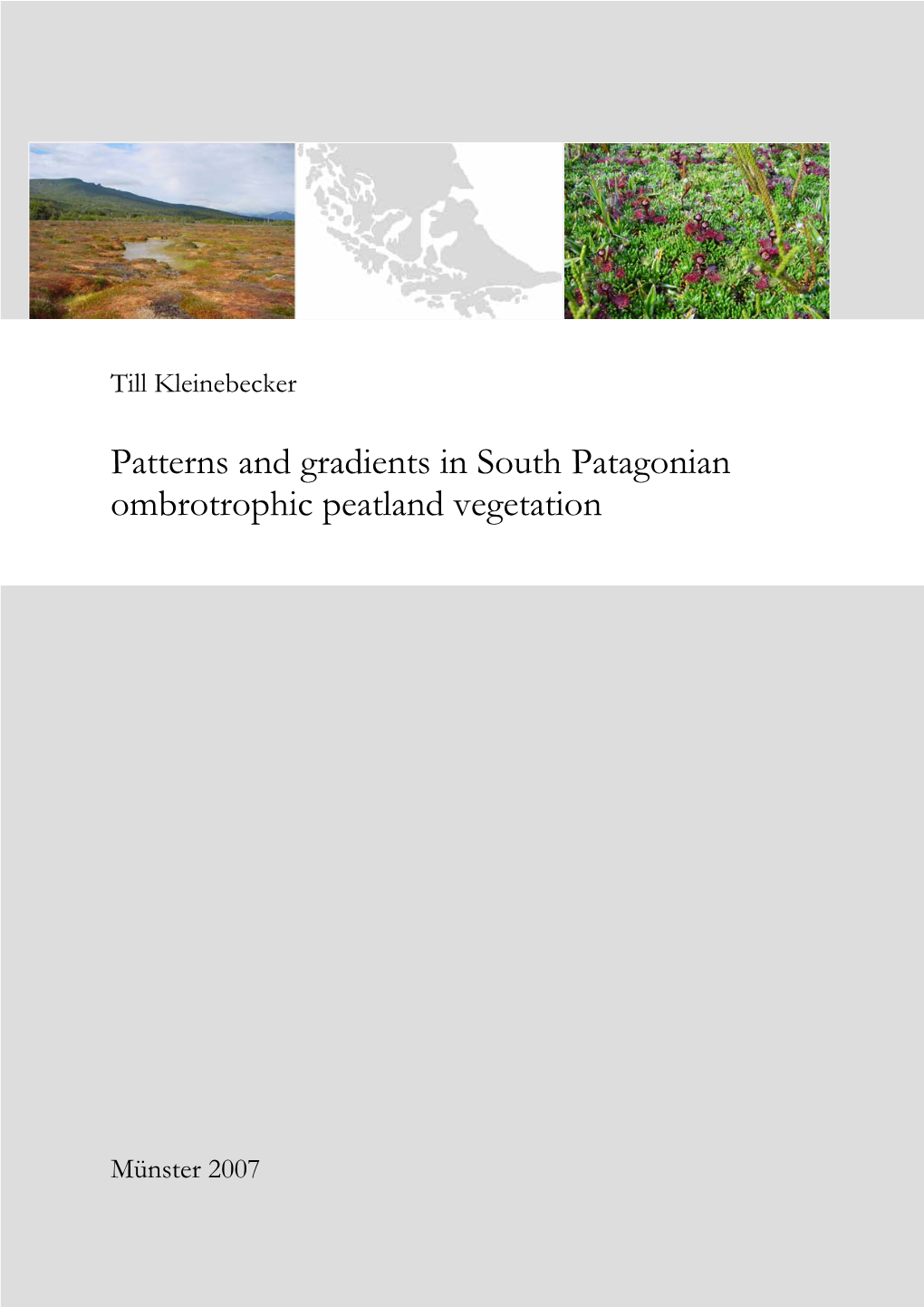 Patterns and Gradients in South Patagonian Ombrotrophic Peatland Vegetation