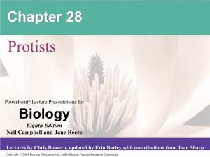Chapter 2828 Protists