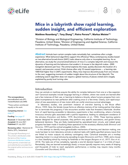 Mice in a Labyrinth Show Rapid Learning, Sudden Insight, and Efficient Exploration Matthew Rosenberg1†, Tony Zhang1†, Pietro Perona2*, Markus Meister1*