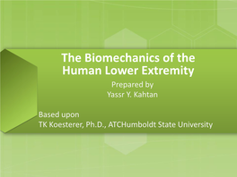 The Biomechanics of the Human Lower Extremity Prepared by Yassr Y