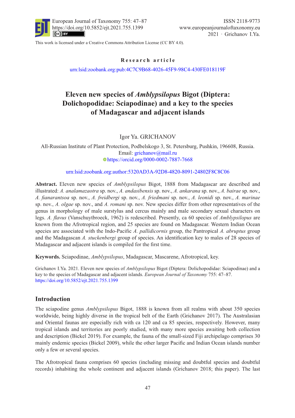 Eleven New Species of Amblypsilopus Bigot (Diptera: Dolichopodidae: Sciapodinae) and a Key to the Species of Madagascar and Adjacent Islands