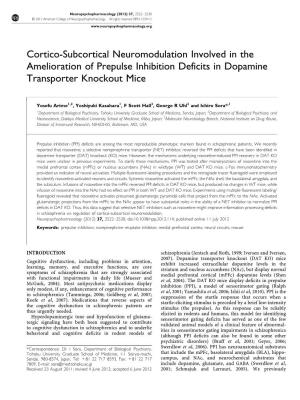 Cortico-Subcortical Neuromodulation Involved in the Amelioration of Prepulse Inhibition Deficits in Dopamine Transporter Knockout Mice