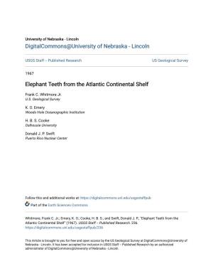 Elephant Teeth from the Atlantic Continental Shelf